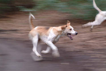 Similar image 7976864