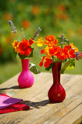 Similar image 7976878