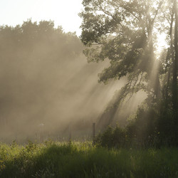 Similar image 7976887