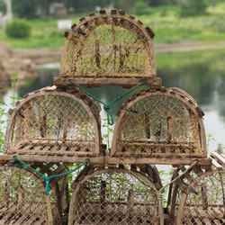 Similar image 7976889