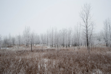 Similar image 7976890