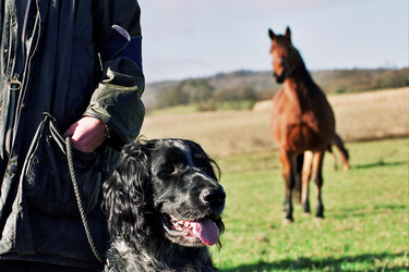 Similar image 7976892