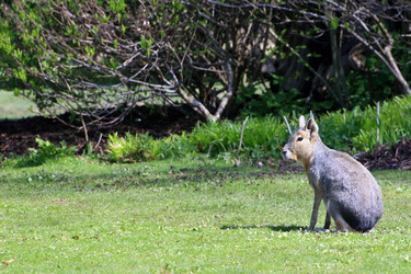 Similar image 7976907