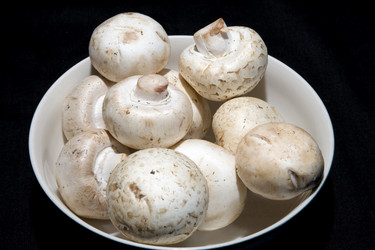 Similar image 7976915