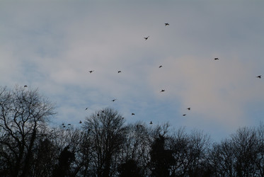 Similar image 7976920