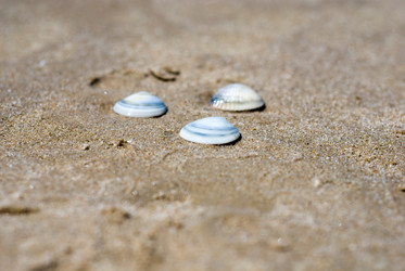 Similar image 7976921