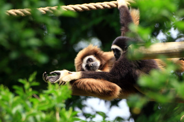 Similar image 7976925