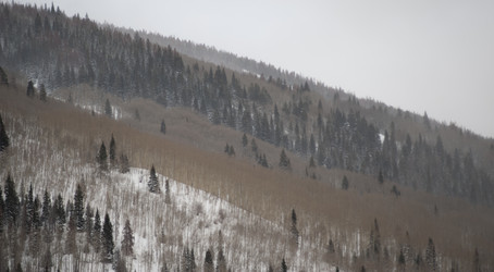 Similar image 7976926