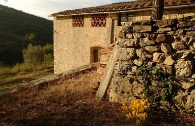 Similar image 7976939