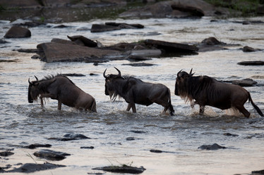 Similar image 7976940