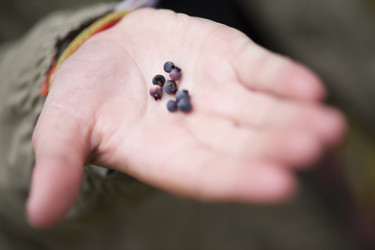 Similar image 7976941