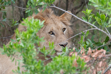 Similar image 7976942