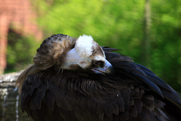 Similar image 7976950