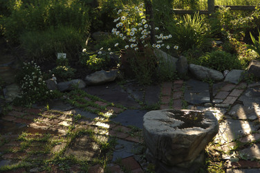 Similar image 7976955