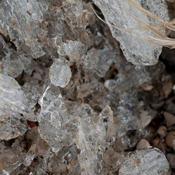 Similar image 7976959