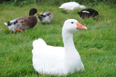 Similar image 7976967