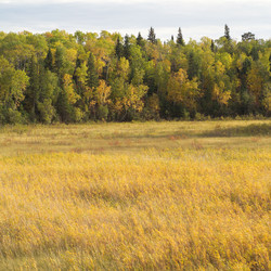 Similar image 7976969