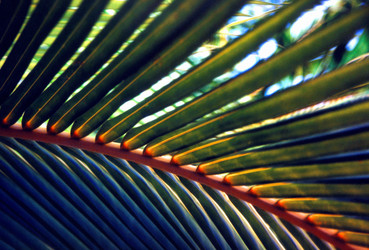 Similar image 7976972