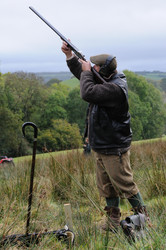 Similar image 7976977