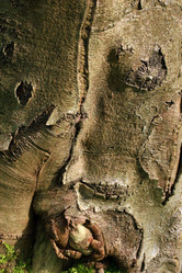 Similar image 7976982