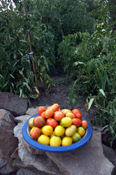 Similar image 7976990