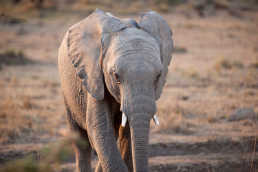 Similar image 7976997