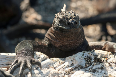 Similar image 7976999