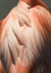 Similar image 7977005