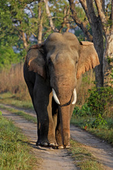 Similar image 7977029