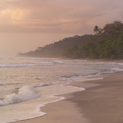 Similar image 7977034