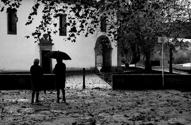 Similar image 7977044