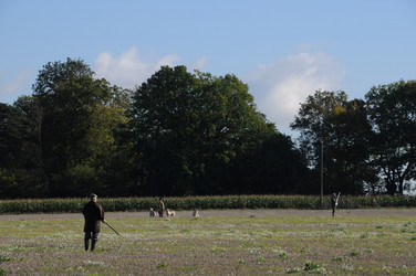 Similar image 7977045