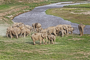 Similar image 7977051