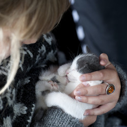 Similar image 7977052