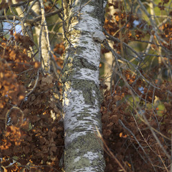 Similar image 7977058