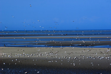 Similar image 7977064