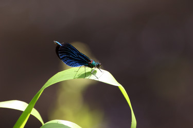 Similar image 7977072