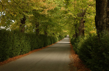 Similar image 7977077