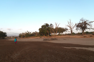 Similar image 7977083