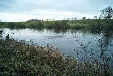 Similar image 7977087