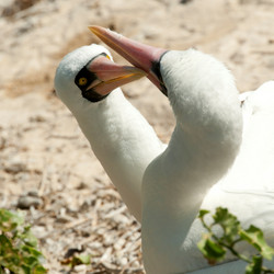 Similar image 7977090