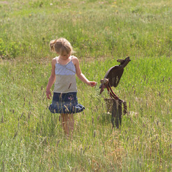 Similar image 7977093