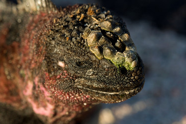 Similar image 7977095