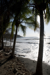 Similar image 7977098