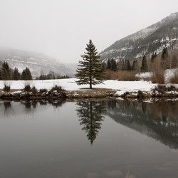 Similar image 7977117