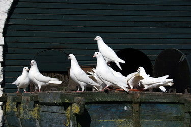 Similar image 7977132