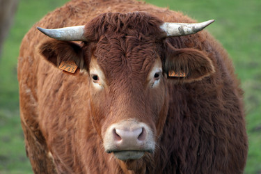 Similar image 7977133