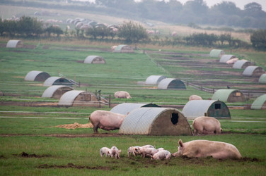 Similar image 7977137