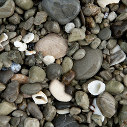 Similar image 7977149