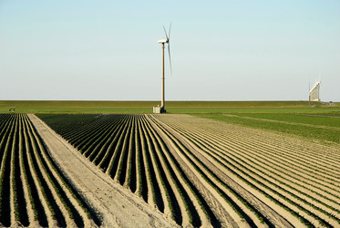 Similar image 7977151